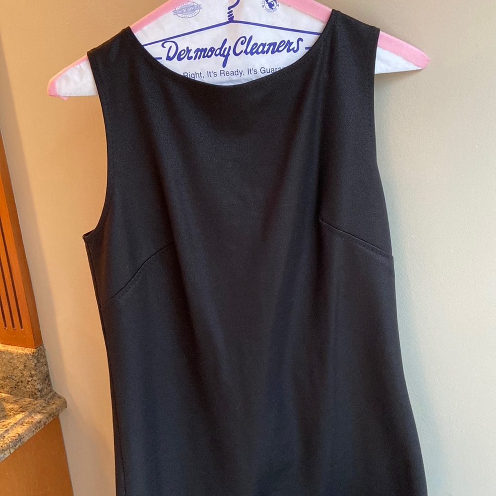 Max Studio Specialty Products size small faux suede dress. Back zipper